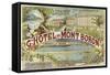 Hotel Mont Baron-null-Framed Stretched Canvas