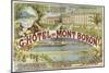 Hotel Mont Baron-null-Mounted Giclee Print