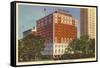 Hotel Olds, Lansing, Michigan-null-Framed Stretched Canvas