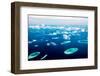 Hotel on the Island. Maldives Indian Ocean-Andrey Armyagov-Framed Photographic Print