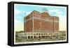 Hotel Peabody, Memphis, Tennessee-null-Framed Stretched Canvas