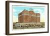 Hotel Peabody, Memphis, Tennessee-null-Framed Art Print