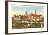 Hotel Ponce de Leon, St. Augustine, Florida-null-Framed Art Print