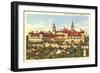 Hotel Ponce de Leon, St. Augustine, Florida-null-Framed Art Print