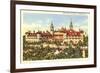 Hotel Ponce de Leon, St. Augustine, Florida-null-Framed Art Print