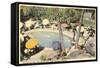 Hotel Pool, Palm Springs, California-null-Framed Stretched Canvas