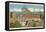 Hotel Roanoke, Roanoke, Virginia-null-Framed Stretched Canvas