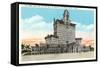 Hotel San Luis, Galveston Beach, Texas-null-Framed Stretched Canvas