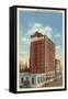 Hotel St. Nicholas, Springfield, Illinois-null-Framed Stretched Canvas