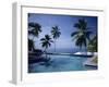 Hotel Swimming Pool, Kovalam, Kerala State, India-Strachan James-Framed Photographic Print