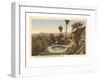 Hotel Swimming Pool, Palm Springs, California-null-Framed Art Print