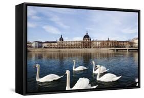 Hotel the Dieu on the Rhone River, Lyon, Rhone-Alpes, France, Europe-Oliviero-Framed Stretched Canvas