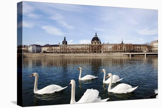 Hotel the Dieu on the Rhone River, Lyon, Rhone-Alpes, France, Europe-Oliviero-Stretched Canvas