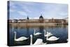 Hotel the Dieu on the Rhone River, Lyon, Rhone-Alpes, France, Europe-Oliviero-Stretched Canvas