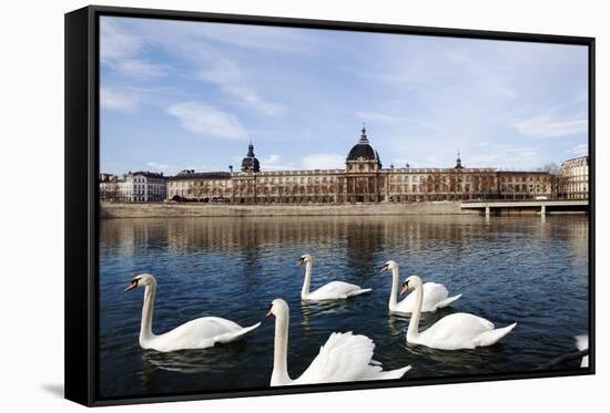 Hotel the Dieu on the Rhone River, Lyon, Rhone-Alpes, France, Europe-Oliviero-Framed Stretched Canvas