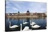 Hotel the Dieu on the Rhone River, Lyon, Rhone-Alpes, France, Europe-Oliviero-Stretched Canvas