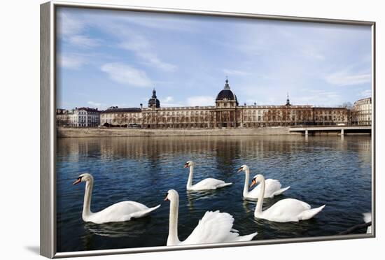 Hotel the Dieu on the Rhone River, Lyon, Rhone-Alpes, France, Europe-Oliviero-Framed Photographic Print