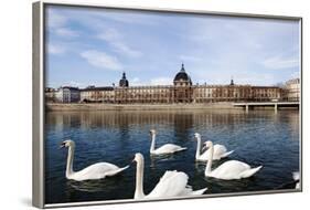 Hotel the Dieu on the Rhone River, Lyon, Rhone-Alpes, France, Europe-Oliviero-Framed Photographic Print