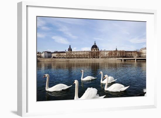 Hotel the Dieu on the Rhone River, Lyon, Rhone-Alpes, France, Europe-Oliviero-Framed Photographic Print