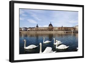 Hotel the Dieu on the Rhone River, Lyon, Rhone-Alpes, France, Europe-Oliviero-Framed Photographic Print