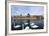 Hotel the Dieu on the Rhone River, Lyon, Rhone-Alpes, France, Europe-Oliviero-Framed Photographic Print
