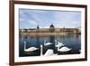 Hotel the Dieu on the Rhone River, Lyon, Rhone-Alpes, France, Europe-Oliviero-Framed Photographic Print