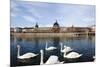 Hotel the Dieu on the Rhone River, Lyon, Rhone-Alpes, France, Europe-Oliviero-Mounted Photographic Print