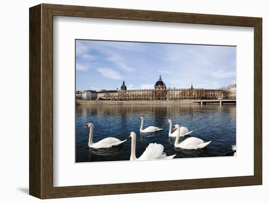 Hotel the Dieu on the Rhone River, Lyon, Rhone-Alpes, France, Europe-Oliviero-Framed Photographic Print