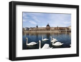 Hotel the Dieu on the Rhone River, Lyon, Rhone-Alpes, France, Europe-Oliviero-Framed Photographic Print