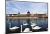 Hotel the Dieu on the Rhone River, Lyon, Rhone-Alpes, France, Europe-Oliviero-Mounted Photographic Print