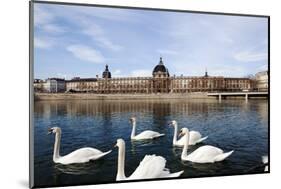 Hotel the Dieu on the Rhone River, Lyon, Rhone-Alpes, France, Europe-Oliviero-Mounted Photographic Print