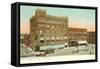 Hotel Worth, Fort Worth, Texas-null-Framed Stretched Canvas