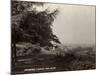 Hothfield Common and West Ashford Workhouse, Kent-Peter Higginbotham-Mounted Photographic Print