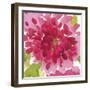 Hothouse Brights II-Sandra Jacobs-Framed Giclee Print