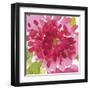 Hothouse Brights II-Sandra Jacobs-Framed Giclee Print