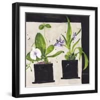 Hothouse Orchids I-Susan Brown-Framed Giclee Print