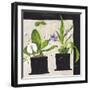 Hothouse Orchids I-Susan Brown-Framed Giclee Print