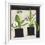 Hothouse Orchids I-Susan Brown-Framed Giclee Print