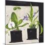 Hothouse Orchids I-Susan Brown-Mounted Giclee Print