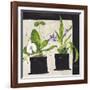 Hothouse Orchids I-Susan Brown-Framed Giclee Print