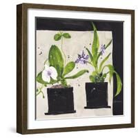 Hothouse Orchids I-Susan Brown-Framed Giclee Print