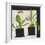 Hothouse Orchids I-Susan Brown-Framed Giclee Print