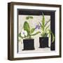 Hothouse Orchids I-Susan Brown-Framed Giclee Print