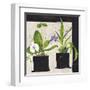 Hothouse Orchids I-Susan Brown-Framed Giclee Print