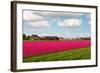 Hothouses-gkuna-Framed Photographic Print