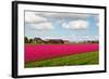 Hothouses-gkuna-Framed Photographic Print