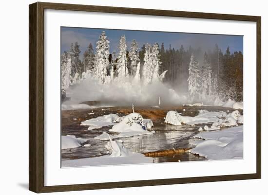 Hotspring and snow covered trees, Silex Spring, Fountain Paint Pots Basin, Lower Geyser Basin-Allen Lloyd-Framed Photographic Print