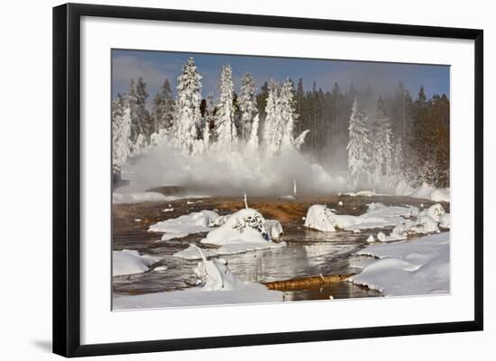 Hotspring and snow covered trees, Silex Spring, Fountain Paint Pots Basin, Lower Geyser Basin-Allen Lloyd-Framed Photographic Print