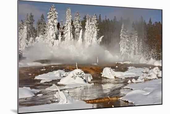 Hotspring and snow covered trees, Silex Spring, Fountain Paint Pots Basin, Lower Geyser Basin-Allen Lloyd-Mounted Photographic Print
