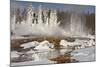 Hotspring and snow covered trees, Silex Spring, Fountain Paint Pots Basin, Lower Geyser Basin-Allen Lloyd-Mounted Photographic Print